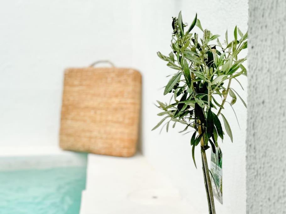 Costa Inn Beach House With Pool By Homeful Homes Costa de Caparica Ngoại thất bức ảnh